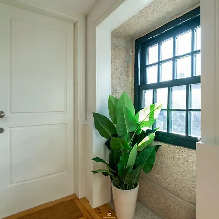 Of - Bop Apartment